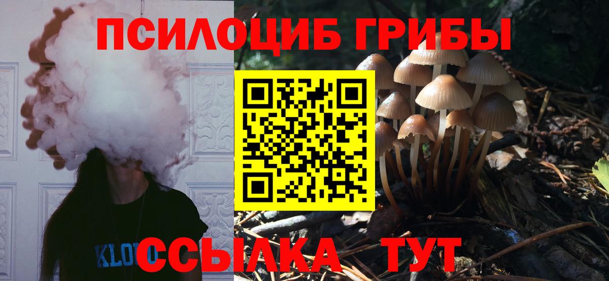 Псилоцибиновые грибы мухоморы Полысаево